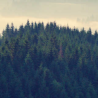 无需注册即可用的网站攻击测试