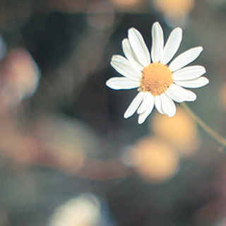 账号认证平台的ddos攻击在哪能买到