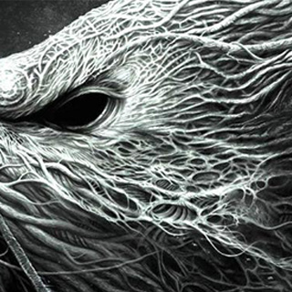 高级服务开通的网站攻击测试