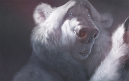 破解补丁版的Web漏洞扫描工具